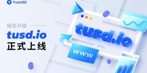 稳定币TrueUSD域名全新升级，输入tusd.io即可访问